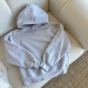 Aritzia TNA Cozy Sweatfleece Perfect Hoodie